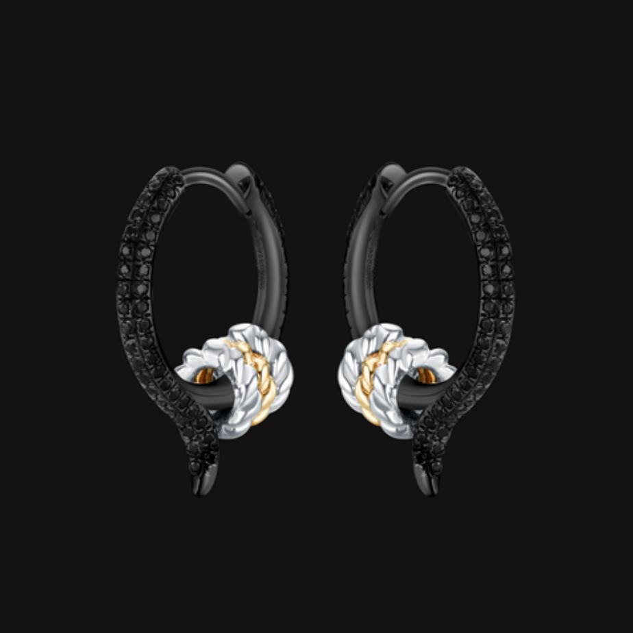 Catch earring